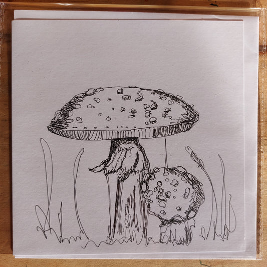 Fungi Sketch Cards - amanti 4