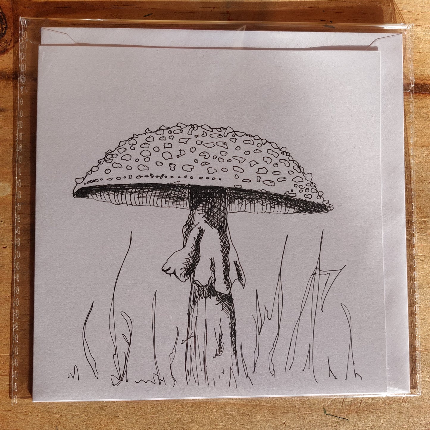 Fungi Sketch Cards - amanti2
