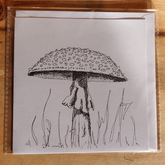 Fungi Sketch Cards - amanti2