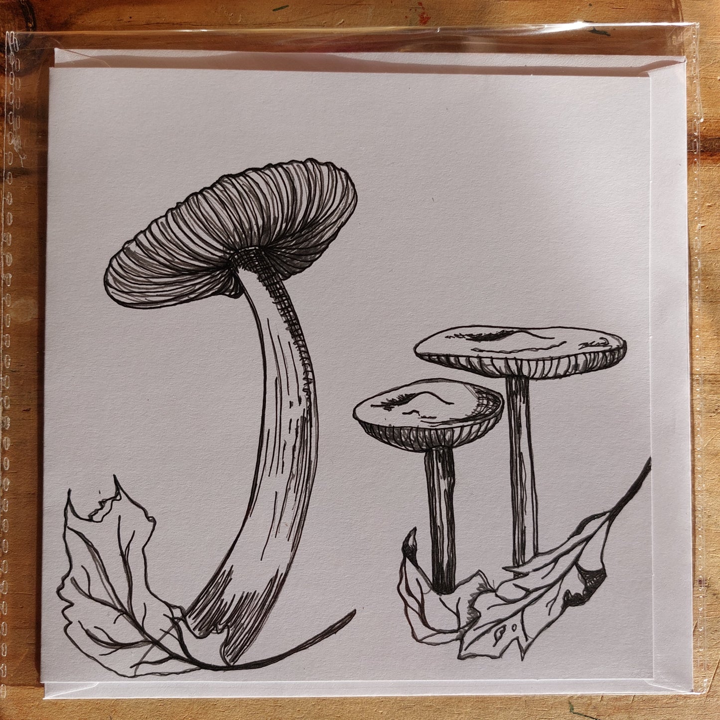 Fungi Sketch Cards - pink1