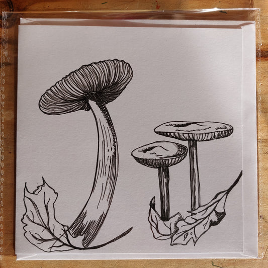 Fungi Sketch Cards - pink1