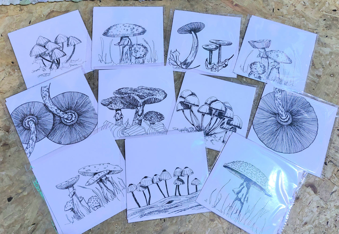 Fungi Sketch Cards - para1