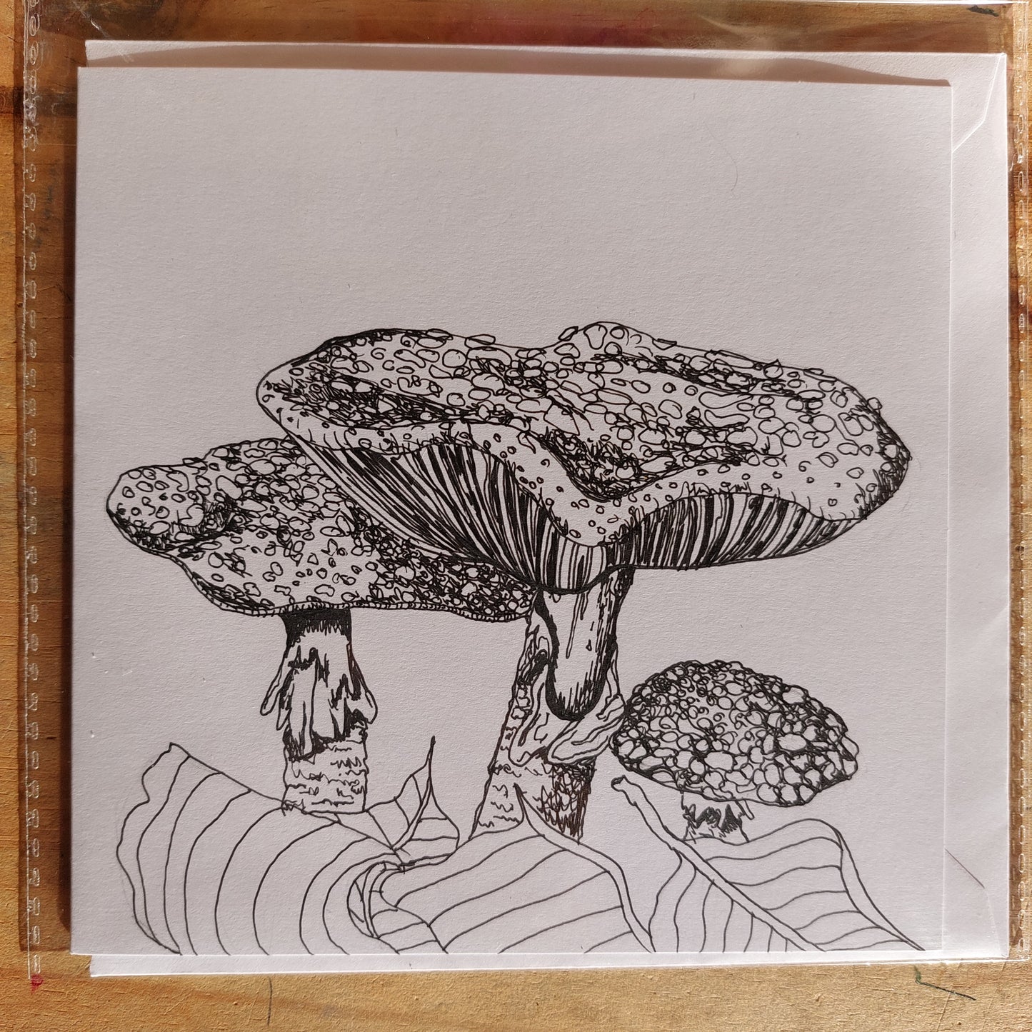 Fungi Sketch Cards - blush1