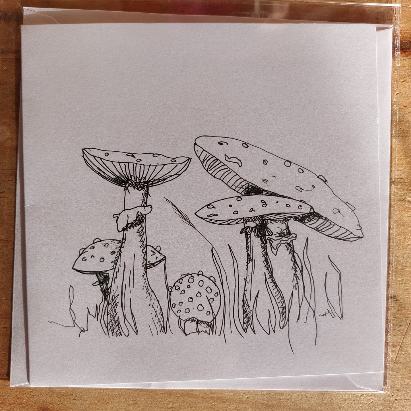 Fungi Sketch Cards - amanti3