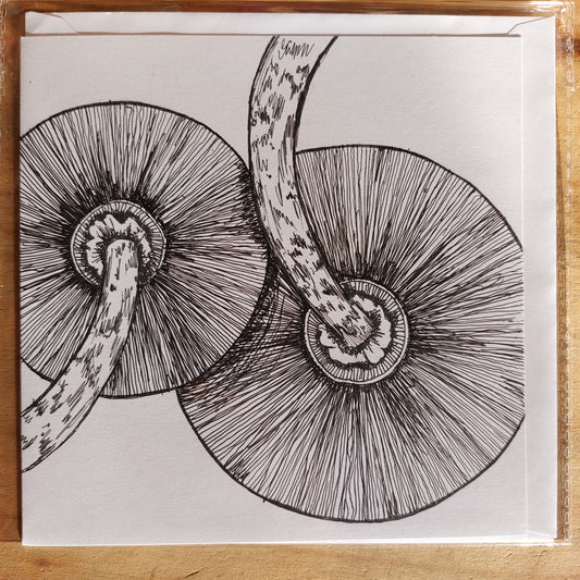 Fungi Sketch Cards - parasol1