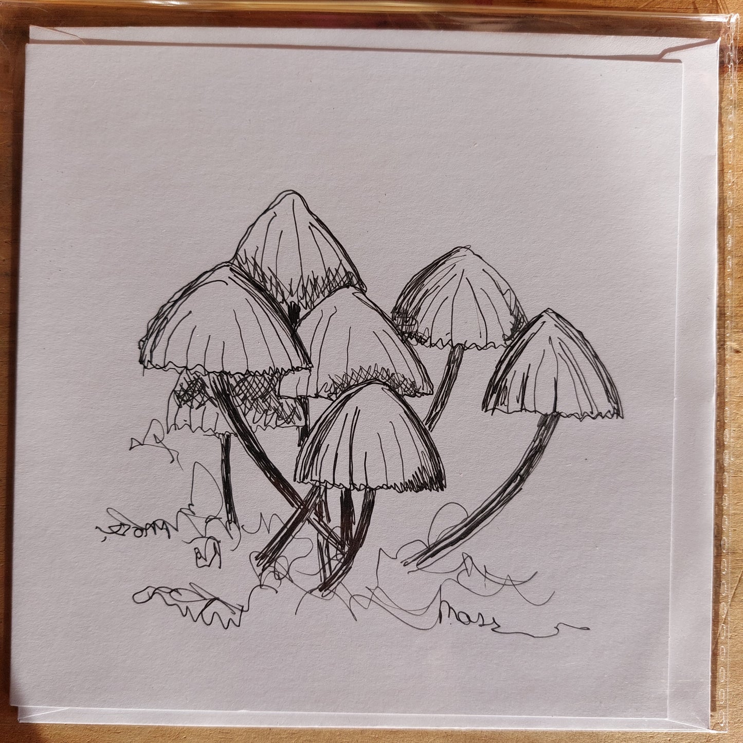 Fungi Sketch Cards - wtuft1