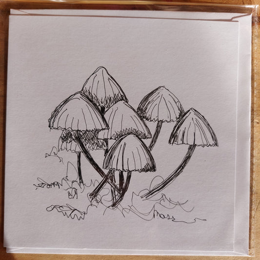 Fungi Sketch Cards - wtuft1