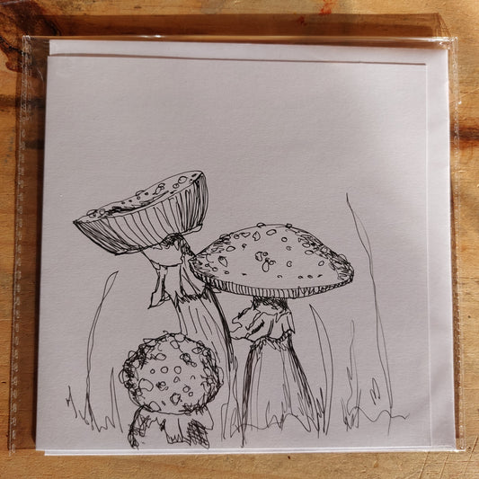Fungi Sketch Cards - Amanti 1