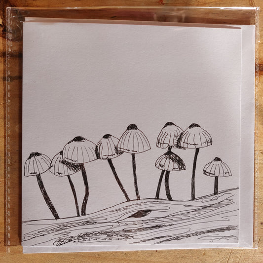Fungi Sketch Cards - para1