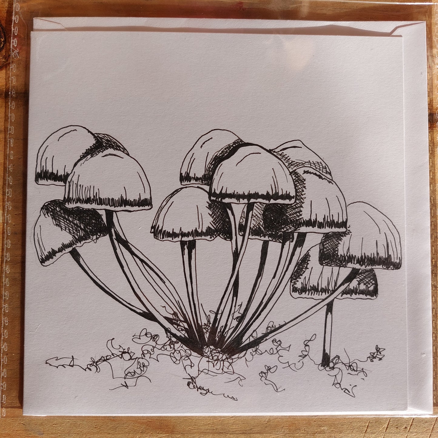 Fungi Sketch Cards - wtuft2